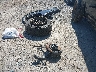 1FTEW1E53JF****** Wrecked 2018 Ford F-150 in New York State