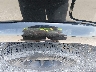 1J4FT48S31L****** Salvamento y Reparables 2001 Jeep Cherokee en Estado de Luisiana