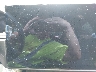 5YJSA1E54NF****** Repairable 2022 Tesla Model S in North Carolina State