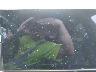 5YJSA1E54NF****** Salvage 2022 Tesla Model S in Greensboro