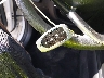 5NMJBCAE7NH****** Salvage 2022 Hyundai Tucson in Texas State