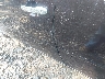 JTHBA30G655****** Destrozados 2005 Lexus ES 330 en Estado de Georgia