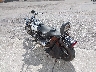 1HD1BKL18NY****** Salvage and Repairable 1992 Harley-Davidson Softail Custom in Rec Rides Online Exclusive
