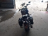 JYAVM01E28A****** Salvage and Repairable 2008 Yamaha V Star 650 in Florida State