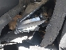 JTJYARBZ1H2****** Wrecked 2017 Lexus NX 200t in California State