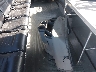 1FDEE3FS7DD****** Salvamento 2013 Ford E-350 en Estado de Washington
