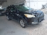 1FMCU0GX9EU****** Salvamento y Destrozados 2014 Ford Escape en Orlando North