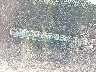 4T1BE46KX8U****** Wrecked 2008 Toyota Camry in New York State