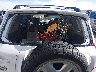 JTMBK33V466****** Destrozados 2006 Toyota RAV4 en Estado de Colorado