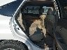 2T2HK31U97C****** Destrozados 2007 Lexus RX 350 en Springfield