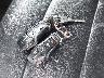1FM5K7D80HG****** Salvage 2017 Ford Explorer in Massachusetts State