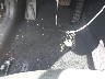 KMHDH4AE3EU****** Salvamento 2014 Hyundai Elantra en Estado de Georgia