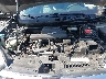 5J6RW2H51HL****** Reparables 2017 Honda CR-V en Albany