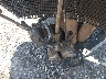 SMTP01ST5NT****** Wrecked 2022 Triumph Speed Triple