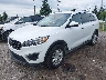 5XYPGDA59JG****** Usados y Reparables 2018 Kia Sorento en Detroit