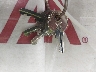 5ZT2CXHC7KL****** Salvage 2019 Forest River Coachmen Apex in Georgia State