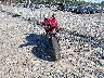 ZDM14B1W1JB****** Salvage and Repairable 2018 Ducati Superbike in Virginia State