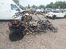 H0MSBWX78RB****** Salvage and Wrecked 2024 Other Other in Minnesota State