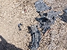 2C3CDXBG0FH****** Wrecked 2015 Dodge Charger in Mississippi State