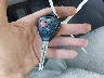 2T3BK4DV8AW****** Salvamento 2010 Toyota RAV4 en Estado de Massachusetts