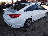 5NPE24AF7HH****** Salvage and Wrecked 2017 Hyundai Sonata in Arizona State