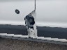 1FTYE1Y84MK****** Salvage and Wrecked 2021 Ford Transit-150 in Scranton