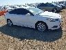 3FA6P0H75GR****** Salvage and Wrecked 2016 Ford Fusion in San Diego