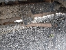 1FT8W3BT7GE****** Repairable 2016 Ford F-350 in Montana State