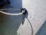 JS1GN7DA172****** Salvamento 2007 Suzuki GSX-R600 en Estado de California