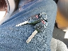 5FNRL5H26DB****** Salvage 2013 Honda Odyssey in California State