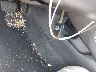 19XFC2F56HE****** Salvage 2017 Honda Civic in Texas State
