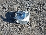 5TFDY5F16HX****** Destrozados 2017 Toyota Tundra en Estado de California