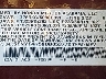 5FNYF4H58DB****** Used 2013 Honda Pilot in Long Island