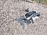 KMHTC6AE9EU****** Wrecked 2014 Hyundai Veloster in Texas State