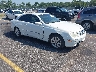 WDBTJ65J24F****** Salvamento y Destrozados 2004 Mercedes-Benz Clk 320 en Lexington