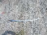 5FNRL5H68CB****** Wrecked 2012 Honda Odyssey in Florida State
