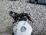 JH2PC37036M****** Reparables 2006 Honda CBR600RR