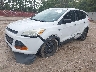 1FMCU0F72FU****** Used and Repairable 2015 Ford Escape in Longview