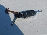 3KPF24AD4LE****** Salvage 2020 Kia Forte in Washington State