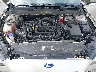3FA6P0HD8KR****** Repairable 2019 Ford Fusion in Clearwater