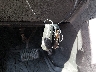 KL4CJESB4GB****** Salvamento 2016 Buick Encore en Estado de Maryland