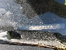 1HGCP36838A****** Destrozados 2008 Honda Accord en Estado de Texas