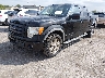 1FTFW1EV3AF****** Usados y Reparables 2010 Ford F-150 en Detroit