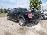 1FTFW1EV3AF****** Salvamento y Reparables 2010 Ford F-150 en Detroit