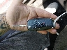 3FA6P0H79ER****** Salvage 2014 Ford Fusion in New York State