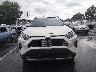 2T3N1RFV1KW****** Destrozados 2019 Toyota RAV4 en Estado de Tennessee