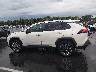 2T3N1RFV1KW****** Reparables 2019 Toyota RAV4 en Estado de Tennessee