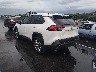 2T3N1RFV1KW****** Salvamento y Reparables 2019 Toyota RAV4 en Nashville