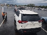 2T3N1RFV1KW****** Salvamento y Reparables 2019 Toyota RAV4 en Estado de Tennessee