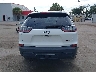 1C4PJLCB7KD****** Destrozados 2019 Jeep Cherokee